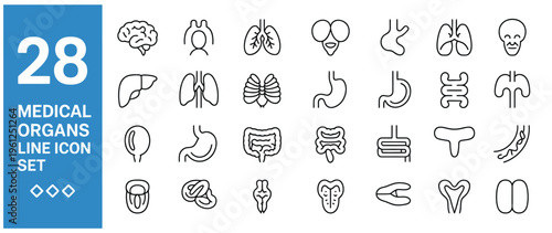 Collection of 28 medical organ line icons including brain, lungs, heart, liver, stomach, and intestines.