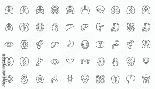 Extensive collection of 56 detailed line icons representing human internal organs for medical and science use.