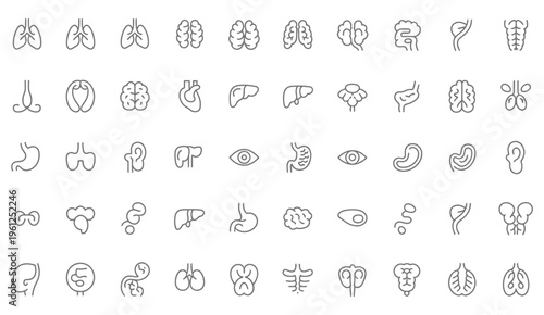 Comprehensive set of 56 medical organ line icons, showcasing human anatomy for scientific and educational purposes.