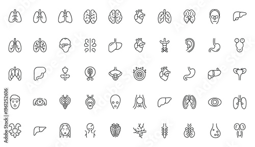 Vast array of 56 medical organ line icons, depicting human anatomy for science, health, and educational contexts.