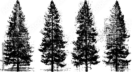 Set of four tall pine tree silhouettes with detailed branches and needles