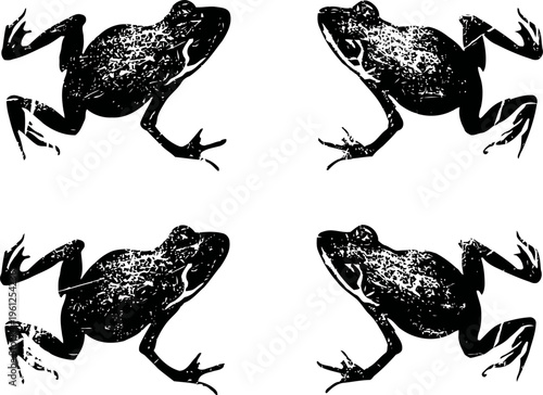 Four black frogs silhouettes isolated on white background amphibian artistic elements with textured body shapes