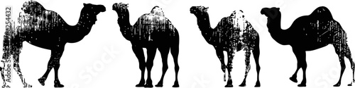 silhouettes of four camels walking in a row, classic desert animals in vintage illustration
