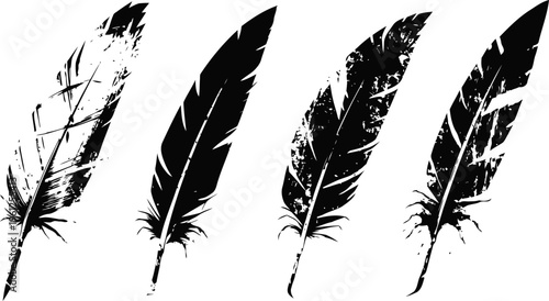 Set of four black grunge feathers with distressed texture, isolated on white background