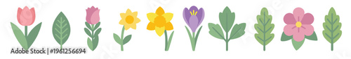 Collection of flat vector spring flower illustrations featuring cute pink tulips yellow daffodils purple crocus and green leaves for botanical graphic design isolated on white background