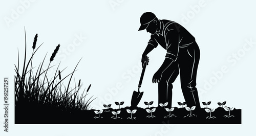 Silhouette of a male farmer digging soil with a shovel to plant young seedlings in a garden for sustainable agriculture.