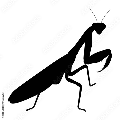 Silhouette praying mantis vector illustration of insect predator and nature wildlife art design