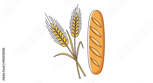Illustration of golden wheat stalks next to a fresh baguette bread loaf emphasizes the connection between raw grain and baked goods.