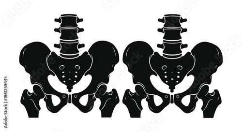 Two human pelvic bones displayed as a striking black silhouette