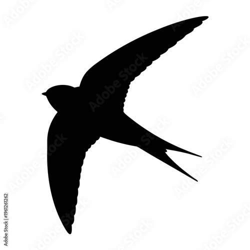 Cuadro en lienzo Black swift bird silhouette flying vector illustration swift bird design element