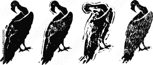 silhouettes of a vulture preening and standing in different poses isolated on white background