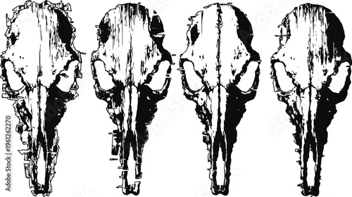 grunge animal skulls set four distressed wildlife skull illustrations in black and white
