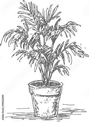 Hand drawn indoor potted plant with lush leaves in textured clay pot, natural home decor illustration