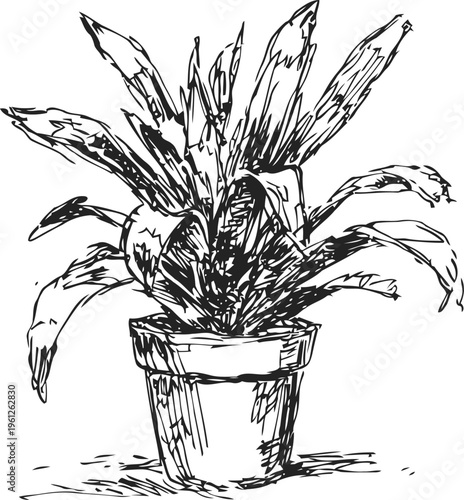 Potted houseplant sketch with long textured leaves in a simple container
