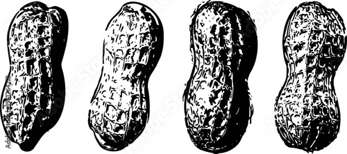 four whole peanuts with shell arranged horizontally in black and white line art