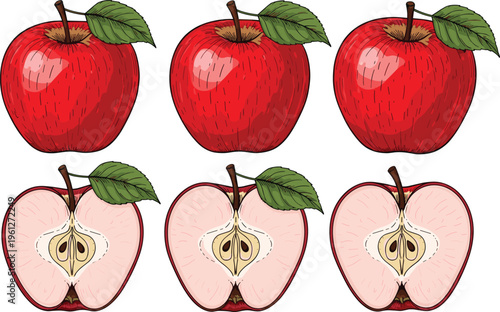 Red apple set with whole and cut fruits. Hand drawn vintage style illustration with seeds and leaves. Perfect for packaging, organic food and healthy lifestyle design.