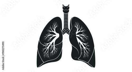 Detailed human lungs illustration in black a striking silhouette