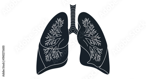 Detailed illustration of human lungs in a stark black silhouette