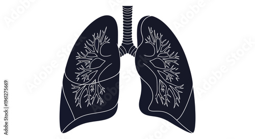 Anatomical lungs illustration with branching airways a dark silhouette