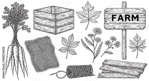 Farm fresh produce and gardening tools.