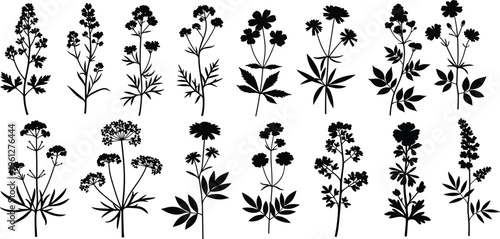 A high-resolution stock photo featuring a diverse group of creative professionals collaborating on a digital project in a bright modern workspace