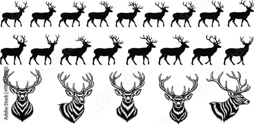 A high-resolution stock photo featuring a diverse group of creative professionals collaborating on a digital project in a bright modern workspace