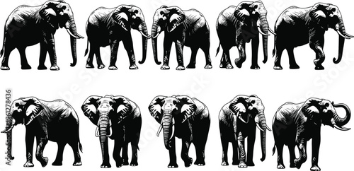 A high-resolution stock photo featuring a diverse group of creative professionals collaborating on a digital project in a bright modern workspace