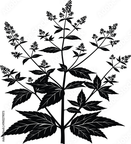 A high-resolution stock photo featuring a diverse group of creative professionals collaborating on a digital project in a bright modern workspace