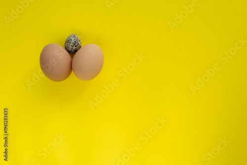 quail egg and two chicken eggs on yellow background with copy space on the right