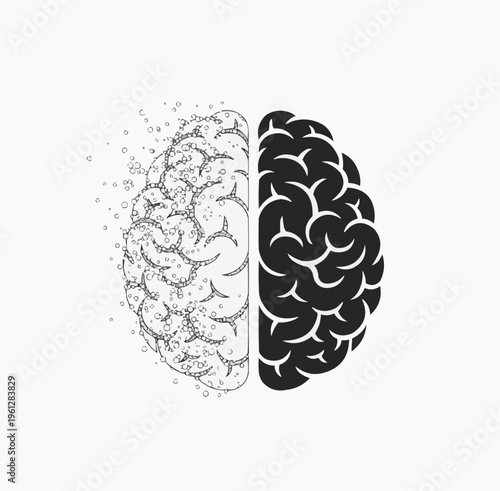 Split brain illustration: one half detailed and fragmented, the other solid and dark.