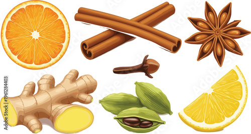 Spices and Citrus Ingredients Collection with Orange, Ginger, Cinnamon, Clove, Cardamom, and Lemon on White Background