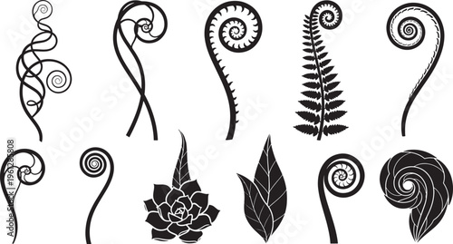 Black and white of various fern leaves and swirls leaf