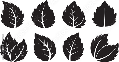 Black leaf silhouettes on white background leaves leaf shapes