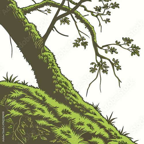 A tree on a hill covered in moss and grass