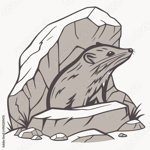A weasel sitting on a rock