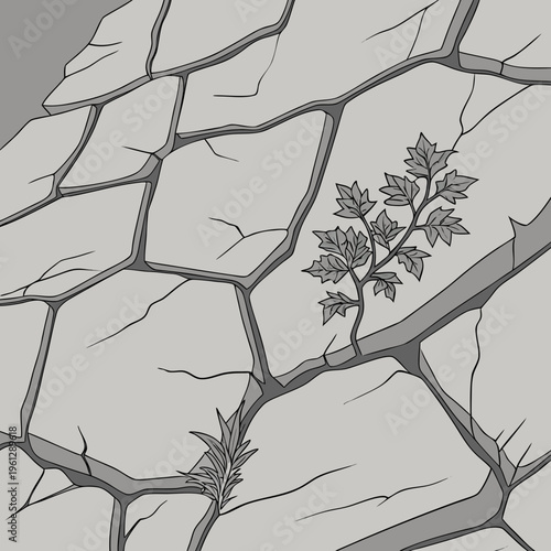A plant growing through cracked stone