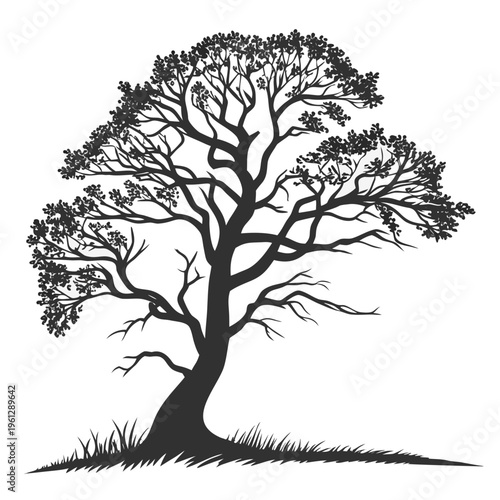 A tree with branches and leaves on a grassy hill