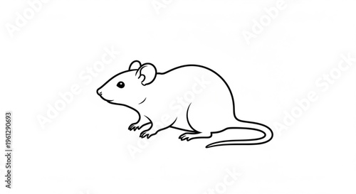 Detailed line drawing of a mouse standing on white background with minimalist style and simple shading