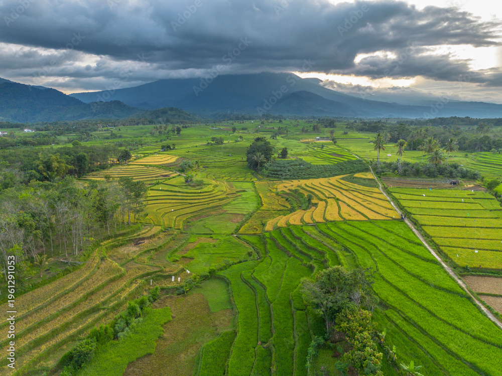 Fototapeta premium Beautiful morning view in Indonesia, panoramic landscape of rice fields with mountain ranges and clear sky