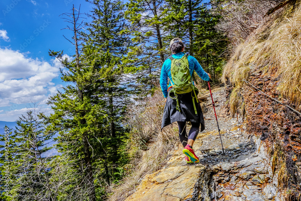 Fototapeta premium Hiker ascends rocky trail through pine forest