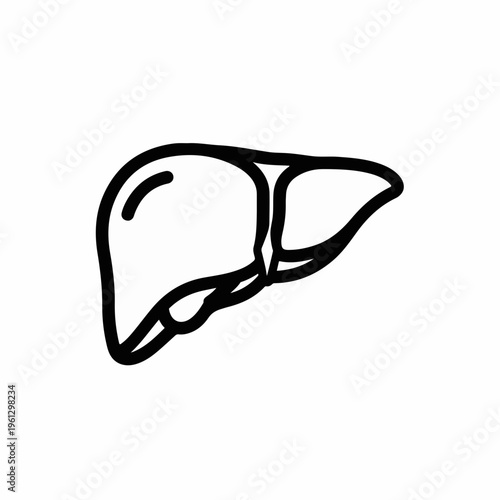Human liver icon in hand-drawn doodle style, anatomical organ vector illustration, black line art of healthy liver for medical and healthcare design