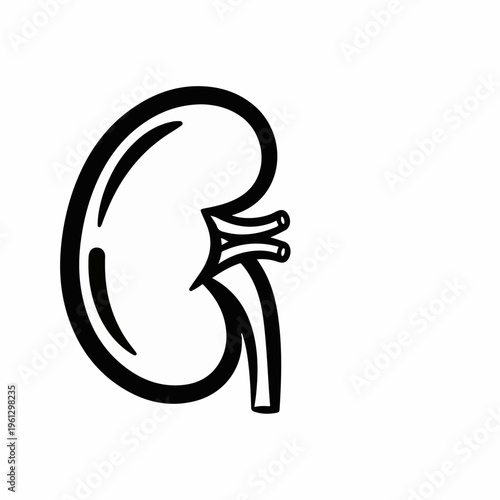 Human kidney icon in minimalist line art style, medical anatomy vector illustration of internal organ, black and white renal system symbol