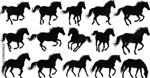 Collection of black horse silhouette illustrations showing walking, trotting, galloping, and grazing poses, perfect for equine studies, animation, veterinary science, sports, and creative artwork 