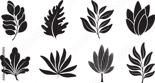 Black and white botanical leaf shapes on white background leaves