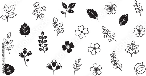 Black and white floral leaf on white background flowers botanical