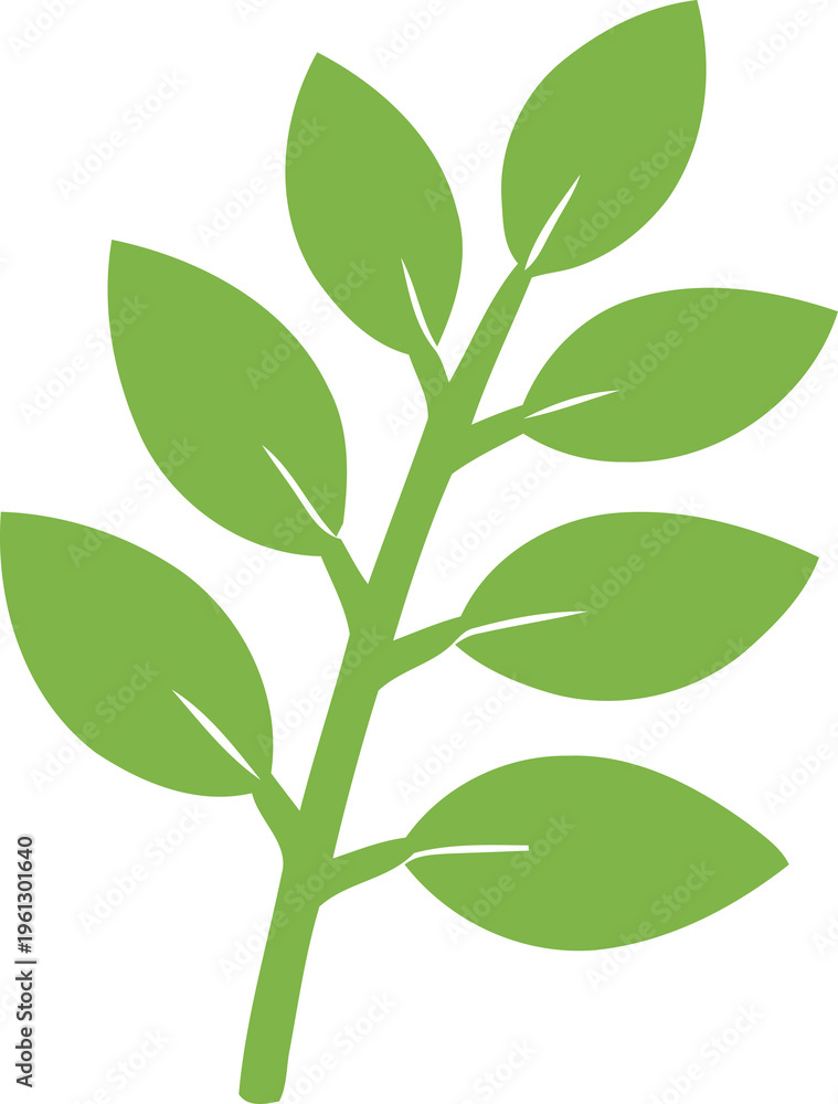 Obraz premium Green leafy branch with multiple leaves. Simple botanical illustration on transparent background