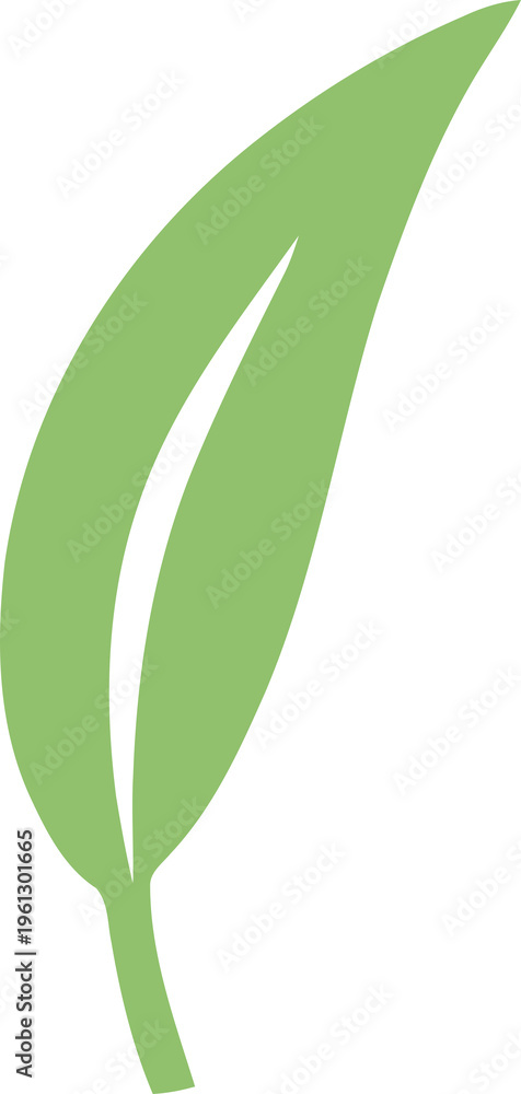 Obraz premium Long slender green leaf illustration with a white central vein. Simple botanical graphic