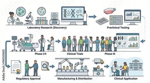 Pharmaceutical drug development process infographic, clinical trials and laboratory research stages, medical manufacturing and regulatory approval workflow
