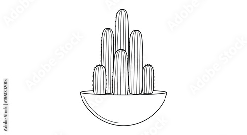 Group of tall cactus plants in a round bowl shown as a black and white line art drawing for botanical coloring projects.