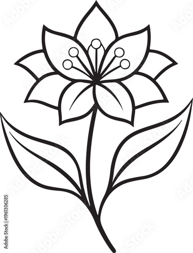 Minimalist lily flower line art vector image